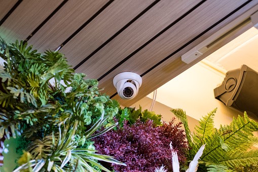 Outdoor Security Cameras